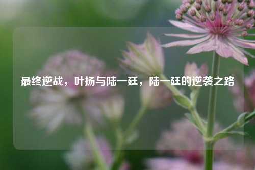 最终逆战，叶扬与陆一廷，陆一廷的逆袭之路