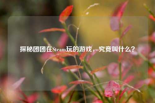 探秘团团在Steam玩的游戏，究竟叫什么？