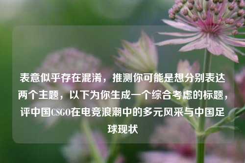 表意似乎存在混淆,推测你可能是想分别表达两个主题,以下为你生成一个综合考虑的标题,评中国CSGO在电竞浪潮中的多元风采与中国足球现状