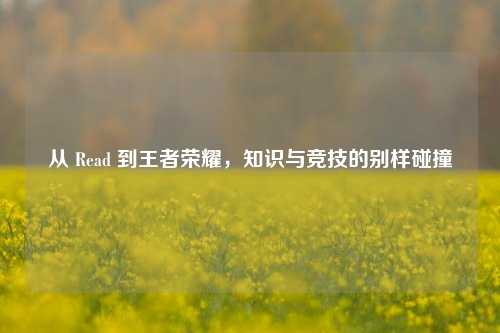从 Read 到王者荣耀，知识与竞技的别样碰撞