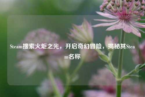 Steam搜索火炬之光，开启奇幻冒险，揭秘其Steam名称