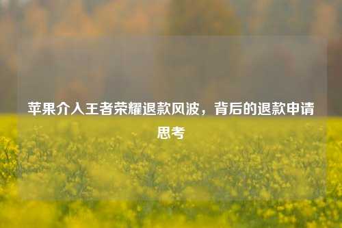 苹果介入王者荣耀退款风波,背后的退款申请思考