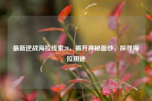 最新逆战海拉线索20,揭开神秘面纱,探寻海拉用途