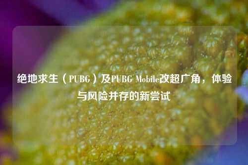 绝地求生(PUBG)及PUBG Mobile改超广角,体验与风险并存的新尝试
