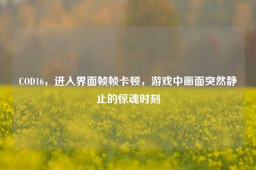 COD16,进入界面帧帧卡顿,游戏中画面突然静止的惊魂时刻