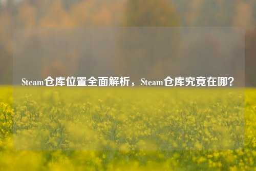Steam仓库位置全面解析,Steam仓库究竟在哪?