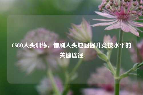 CSGO人头训练,借刷人头地图提升竞技水平的关键途径