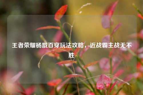 王者荣耀杨戬百穿玩法攻略，近战霸主战无不胜