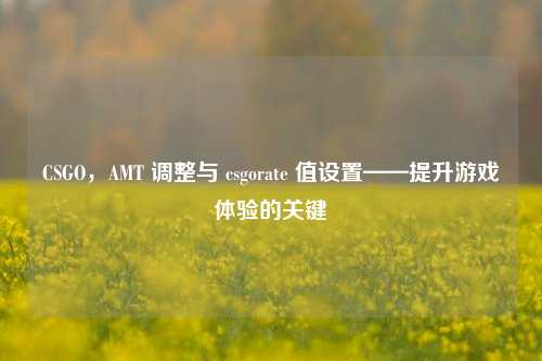 CSGO，AMT 调整与 csgorate 值设置——提升游戏体验的关键
