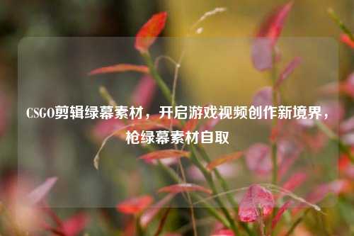 CSGO剪辑绿幕素材,开启游戏视频创作新境界,枪绿幕素材自取