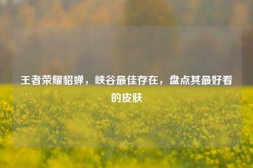 王者荣耀貂蝉,峡谷最佳存在,盘点其最好看的皮肤