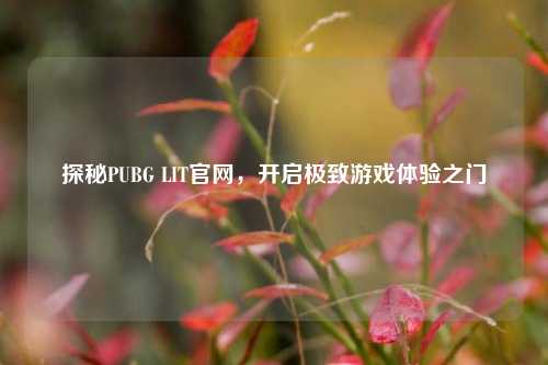 探秘PUBG LIT官网，开启极致游戏体验之门