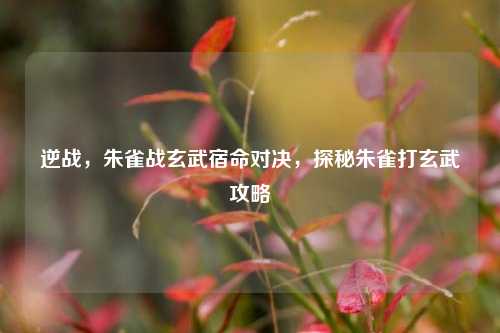 逆战，朱雀战玄武宿命对决，探秘朱雀打玄武攻略