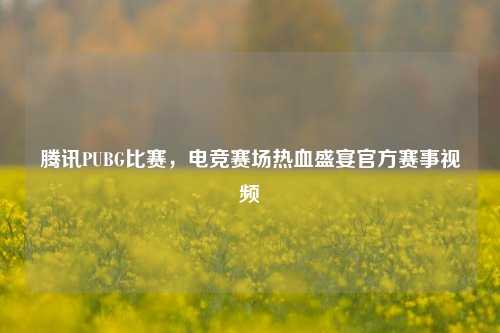腾讯PUBG比赛,电竞赛场热血盛宴官方赛事视频