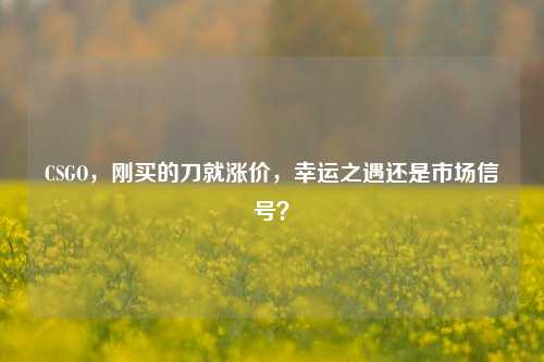 CSGO,刚买的刀就涨价,幸运之遇还是市场信号?