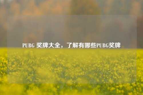 PUBG 奖牌大全,了解有哪些PUBG奖牌