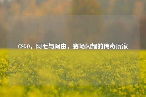 CSGO,阿毛与阿由,赛场闪耀的传奇玩家