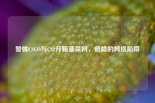 警惕CSGO与CS2开箱菠菜网,危险的网络陷阱