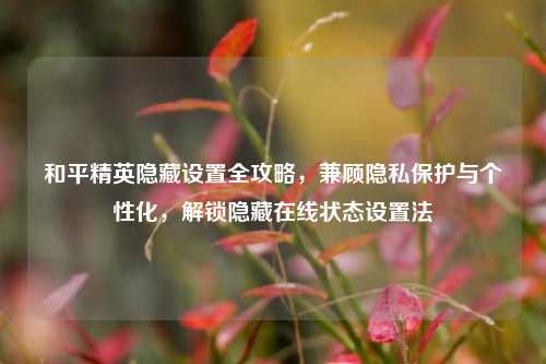和平精英隐藏设置全攻略,兼顾隐私保护与个性化,解锁隐藏在线状态设置法