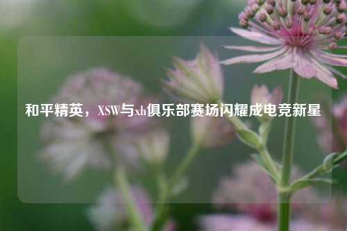 和平精英,XSW与xh俱乐部赛场闪耀成电竞新星