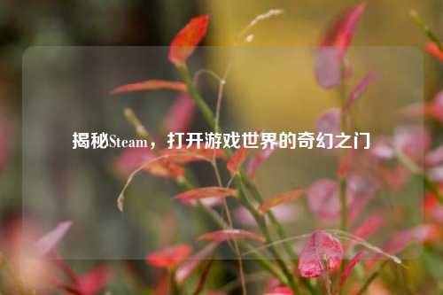 揭秘Steam，打开游戏世界的奇幻之门