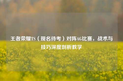 王者荣耀TS(现名待考)对阵AG比赛,战术与技巧深度剖析教学