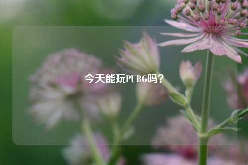 今天能玩PUBG吗？
