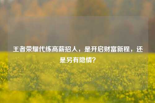 王者荣耀代练高薪招人,是开启财富新程,还是另有隐情?