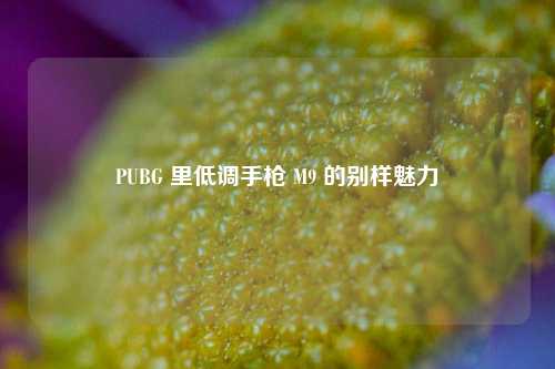 PUBG 里低调手枪 M9 的别样魅力