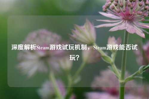 深度解析Steam游戏试玩机制,Steam游戏能否试玩?