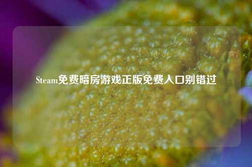 Steam免费暗房游戏正版免费入口别错过