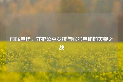 PUBG查挂，守护公平竞技与账号查询的关键之战