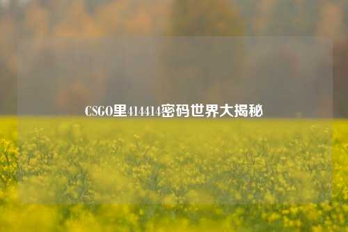 CSGO里414414密码世界大揭秘