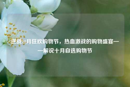 逆战11月狂欢购物节，热血激战的购物盛宴——解说十月自选购物节