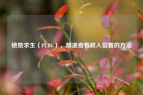 绝地求生(PUBG),精准查看敌人位置的方法