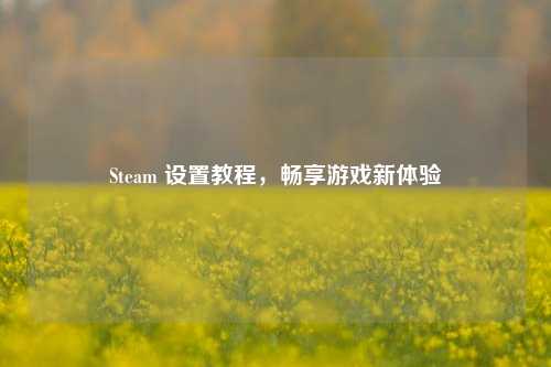 Steam 设置教程，畅享游戏新体验