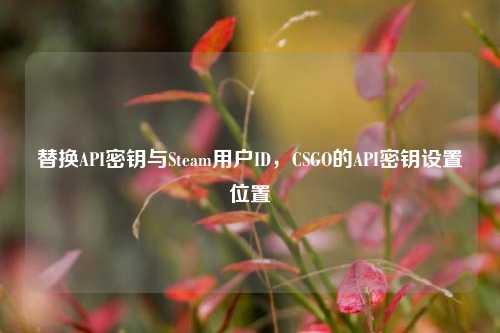 替换API密钥与Steam用户ID,CSGO的API密钥设置位置