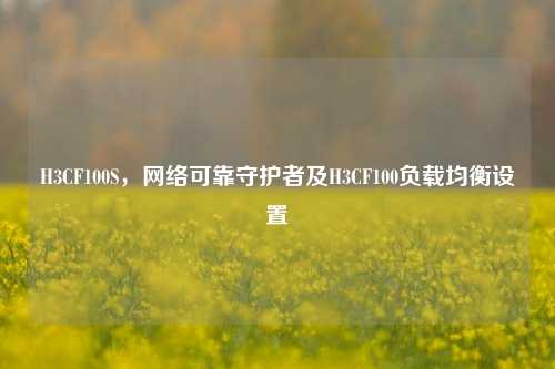 H3CF100S,网络可靠守护者及H3CF100负载均衡设置