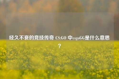经久不衰的竞技传奇 CS:GO 中csgoGG是什么意思？