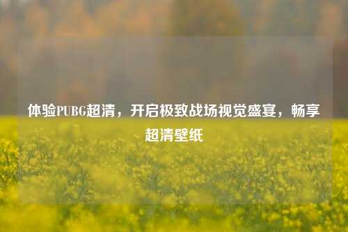 体验PUBG超清,开启极致战场视觉盛宴,畅享超清壁纸