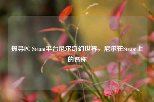 探寻PC Steam平台尼尔奇幻世界,尼尔在Steam上的名称