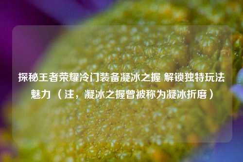 探秘王者荣耀冷门装备凝冰之握 解锁独特玩法魅力 (注,凝冰之握曾被称为凝冰折磨)