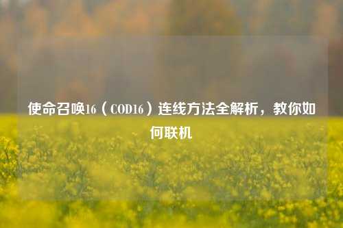 使命召唤16(COD16)连线方法全解析,教你如何联机