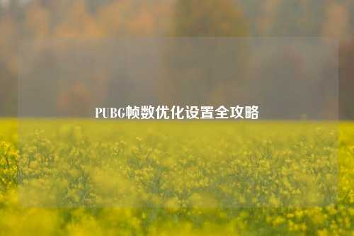 PUBG帧数优化设置全攻略