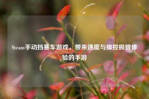 Steam手动挡赛车游戏，带来速度与操控极致体验的手游