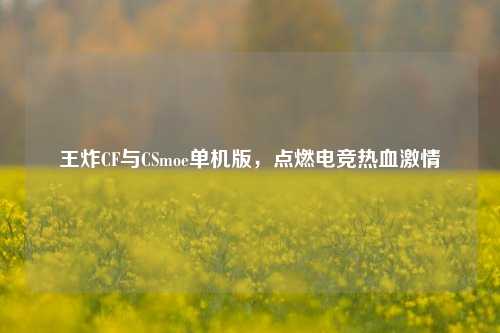 王炸CF与CSmoe单机版,点燃电竞热血激情