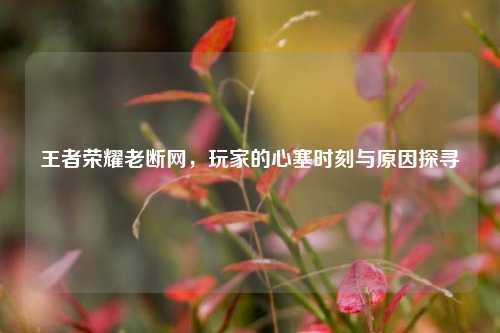 王者荣耀老断网,玩家的心塞时刻与原因探寻