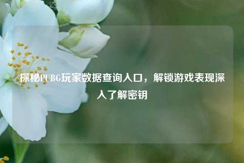探秘PUBG玩家数据查询入口,解锁游戏表现深入了解密钥