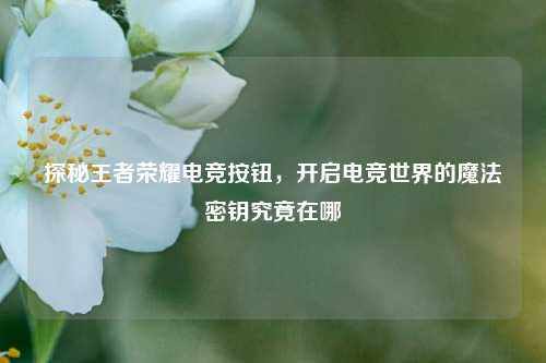 探秘王者荣耀电竞按钮，开启电竞世界的魔法密钥究竟在哪