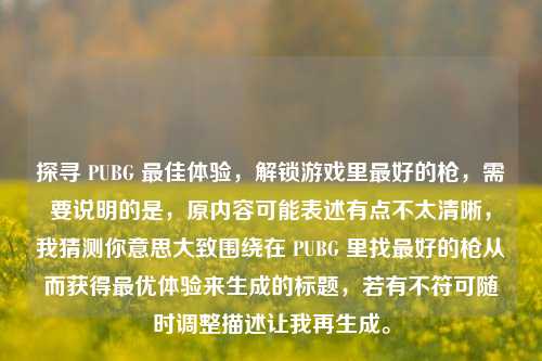 探寻 PUBG 最佳体验,解锁游戏里最好的枪,需要说明的是,原内容可能表述有点不太清晰,我猜测你意思大致围绕在 PUBG 里找最好的枪从而获得最优体验来生成的标题,若有不符可随时调整描述让我再生成。